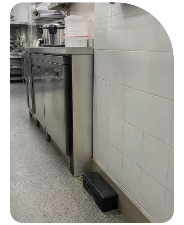 Дератизация ресторана в Нижнем Новгороде по цене от 5211 р. | Сенат-Ннн